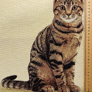 Tkanina dekoracyjna GOBELIN PREMIUM Sitting Kitten Cat PANEL