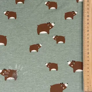 Jersey Bears dark mint melange
