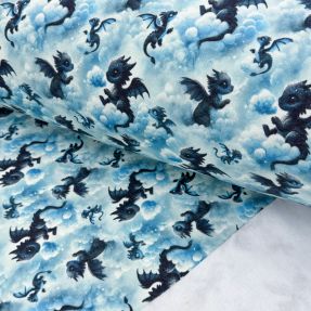 Dresówka drapana JOGGING Dragons design C digital print