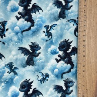 Dresówka drapana JOGGING Dragons design C digital print
