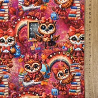 Dresówka Big eyes design A digital print